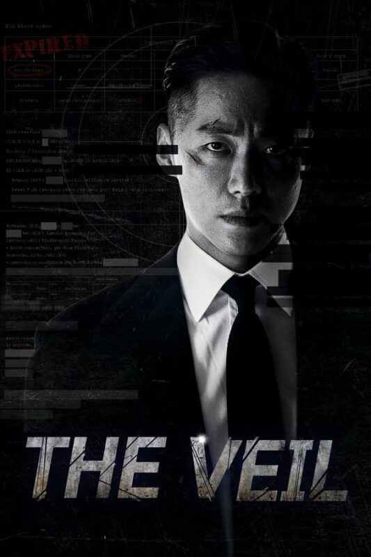 [Korean Series] The Veil (Season 1)