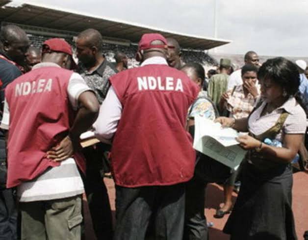 NDLEA arrests two over attempt to transport illicit drugs to US, Dubai