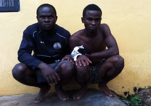 Security Forces Liberate Hostages and Apprehend Kidnapping Suspects in Taraba